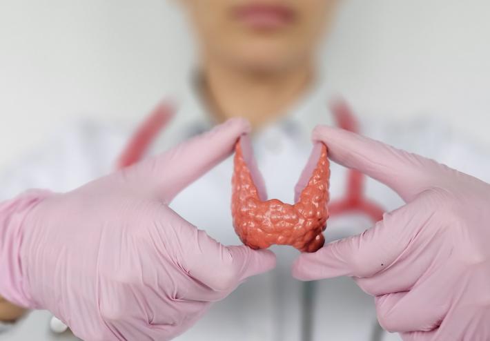 玉米能补硒吗(硒含量高的食物)-硒宝网