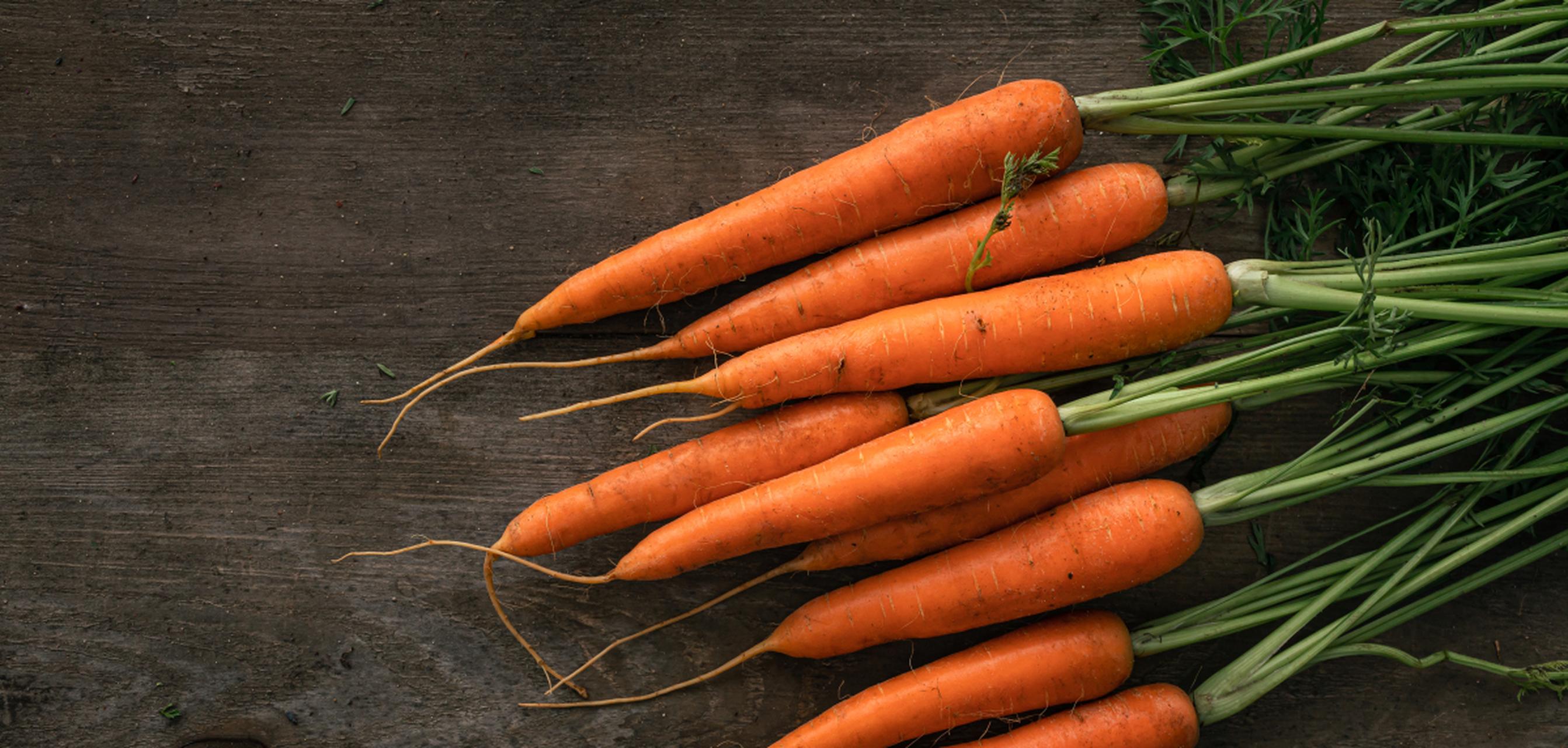 玉米能补硒吗(硒含量高的食物)-硒宝网