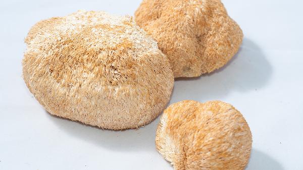 吃什么食物可以补精