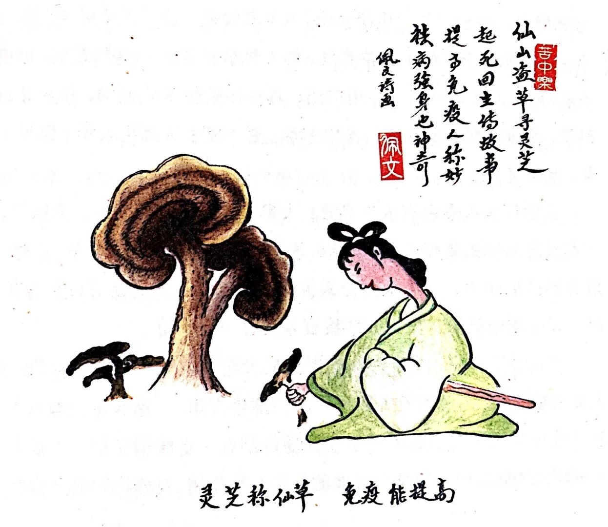 灵芝能补硒吗(灵芝药用价值)-硒宝网