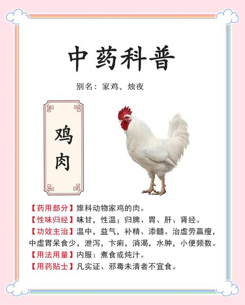 如何给鸡补硒(红枣富硒饲料改善鸡肉风味)-硒宝网