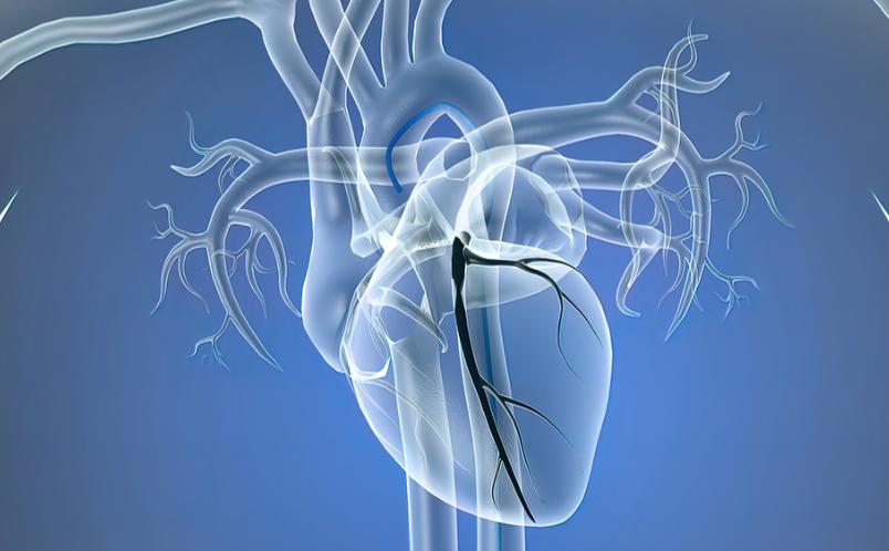 每回日补硒量(硒的抗癌作用)-硒宝网