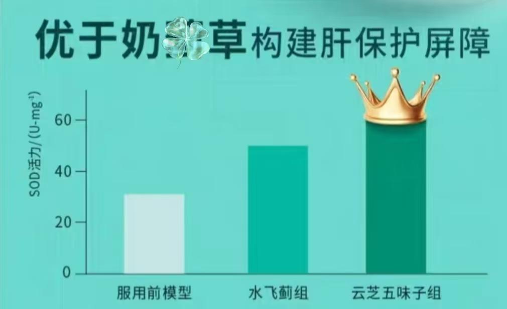 护肝补多少硒(护肝片成分选择)-硒宝网