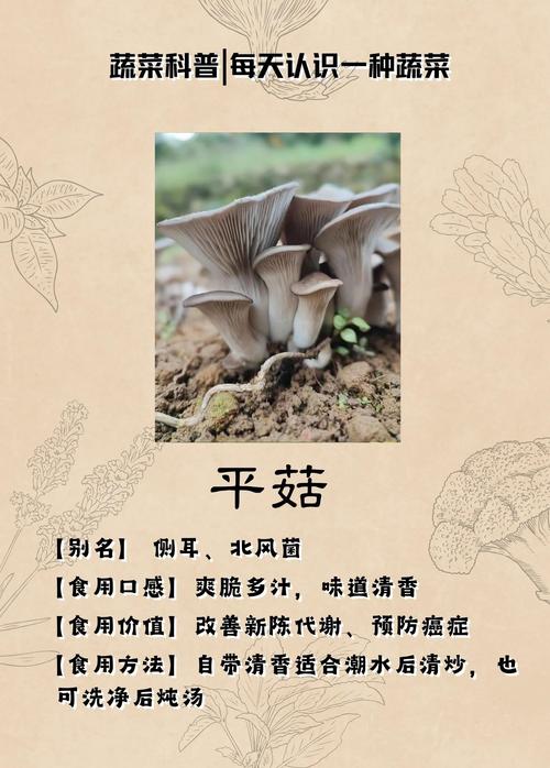 平菇如何补硒
