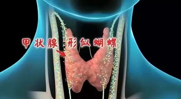 甲亢补硒的药()-硒宝网