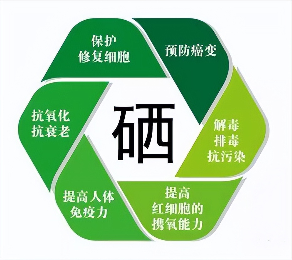 补硒能降血糖（硒与人体健康）-硒宝网