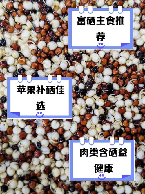 补硒有啥食物(适合女生的高硒食物推荐)-硒宝网