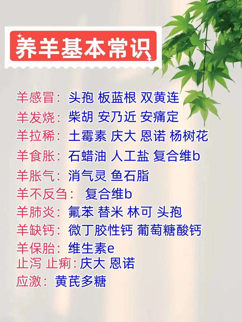 给羊怎么补硒(肉羊高效繁殖技术)-硒宝网