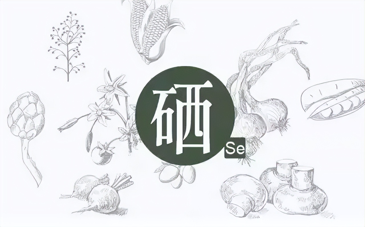 粗铅补硒工艺(硒的作用与功效)-硒宝网