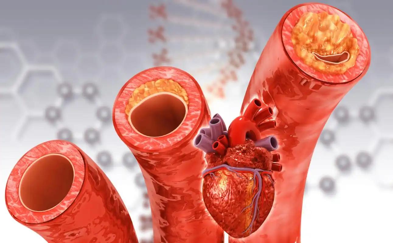 销售补硒话术(甲状腺健康饮食)-硒宝网