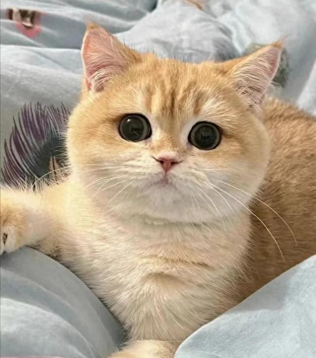 补硒锌药哪些(盲补微量元素危害)-硒宝网