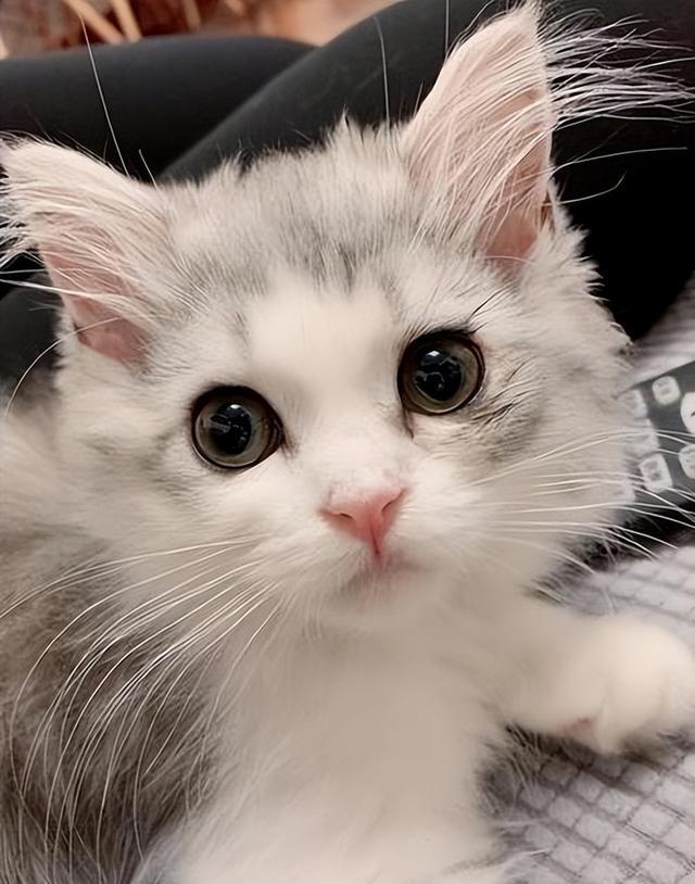 补硒锌药哪些(盲补微量元素危害)-硒宝网