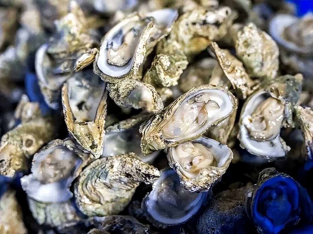 生蚝补锌补硒(牡蛎硒含量营养价值)-硒宝网