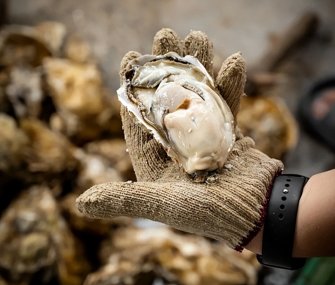 生蚝补锌补硒(牡蛎硒含量营养价值)-硒宝网