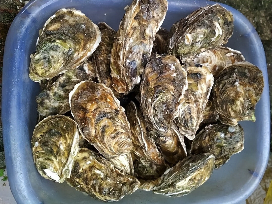 生蚝补锌补硒(牡蛎硒含量营养价值)-硒宝网