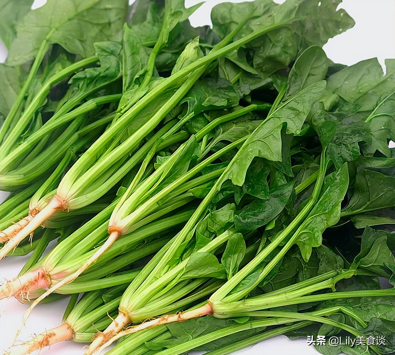 老人需补硒吗(富含硒元素蔬菜推荐)-硒宝网