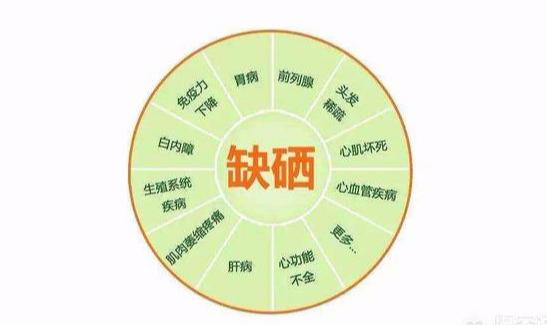 补硒去哪购买(硒元素好处)-硒宝网