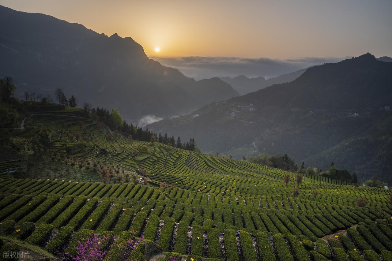 最权威的补硒(黑木耳补硒)-硒宝网