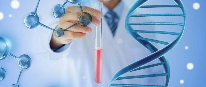 补硒的原则是(补硒要素)-硒宝网