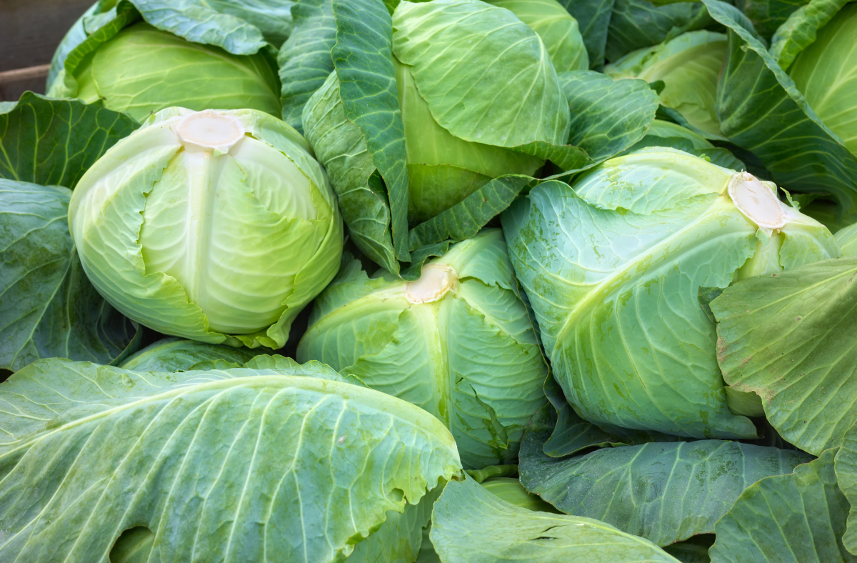 补硒能降糖吗(硒与甲状腺健康关系)-硒宝网