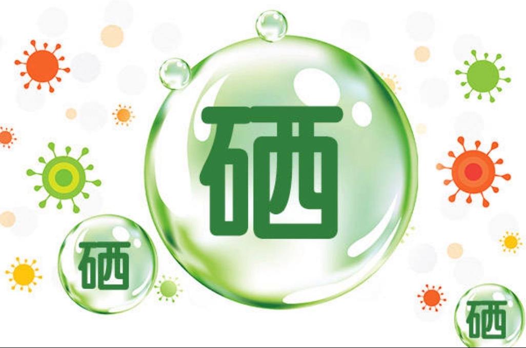 补硒是什么呢（吃了能变仙吗）-硒宝网