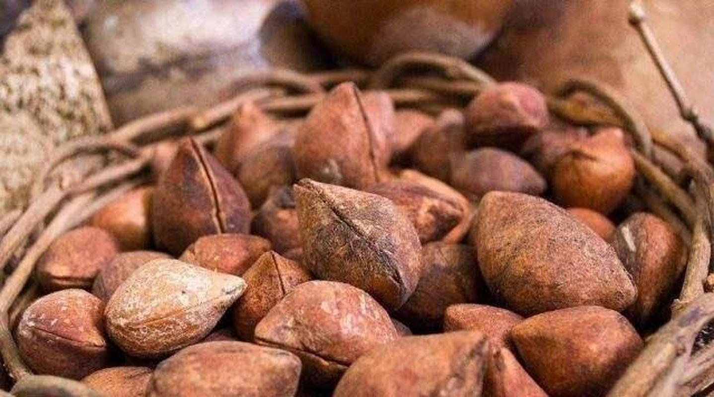 补硒是什么呢（吃了能变仙吗）-硒宝网