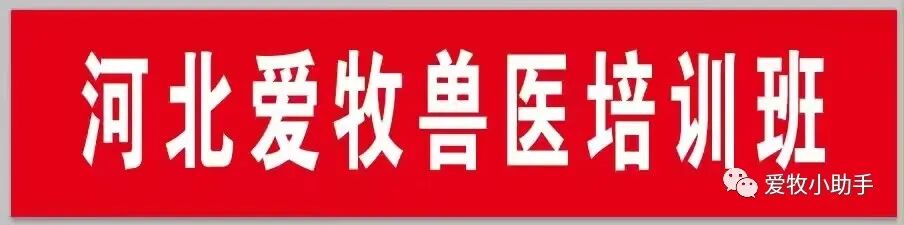 牛补硒的用量（牛矿物质缺乏症状及预防）-硒宝网