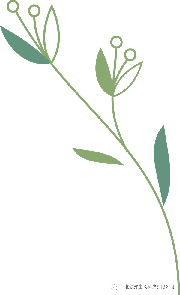 牛补硒的用量（?？笪镏嗜狈χ⒆醇霸し溃?硒宝网