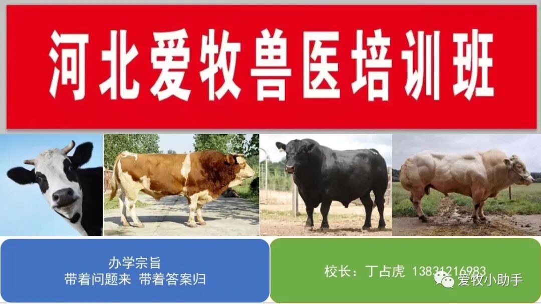 牛补硒的用量（?？笪镏嗜狈χ⒆醇霸し溃?硒宝网