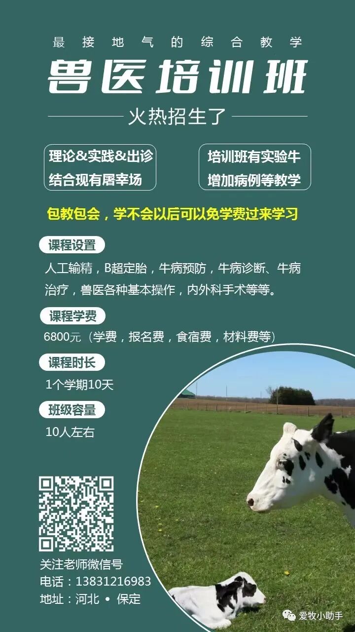 牛补硒的用量（?？笪镏嗜狈χ⒆醇霸し溃?硒宝网