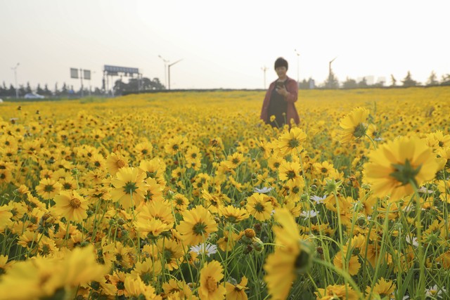 螃蟹能补硒吗（四款高硒美食推荐）-硒宝网