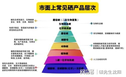 补有机硒的药（生物纳米硒蘑菇硒）-硒宝网