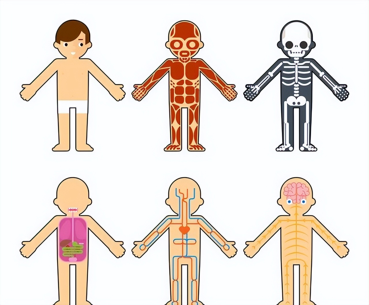 肺癌可补硒吗（硒与消化道癌症关系）-硒宝网