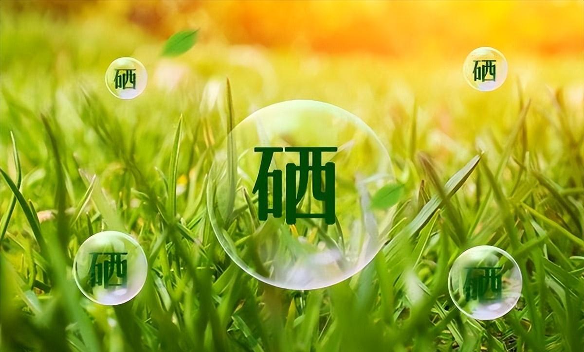 需补硒的人群（硒元素防癌作用研究）-硒宝网