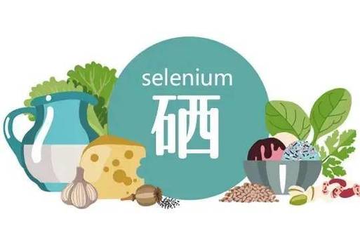 需补硒的人群（富含硒的食物有哪些）-硒宝网