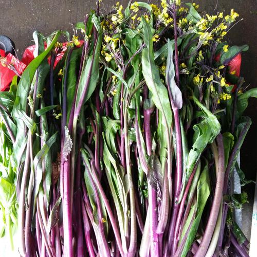 紫菜能补硒吗（红菜薹与洪山菜薹的区别）-硒宝网